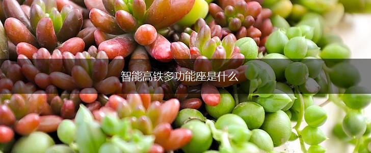 智能高铁多功能座是什么,第1张