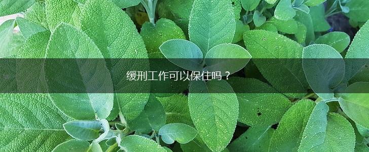 缓刑工作可以保住吗？,第1张