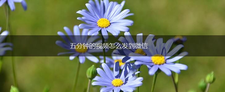 五分钟的视频怎么发到微信,第1张