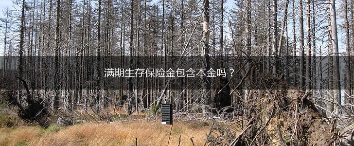 满期生存保险金包含本金吗？,第1张