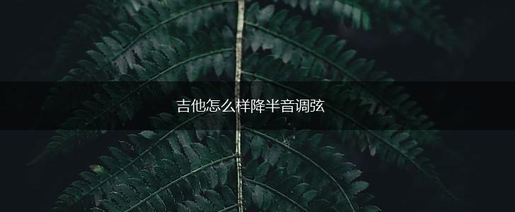 吉他怎么样降半音调弦,第1张