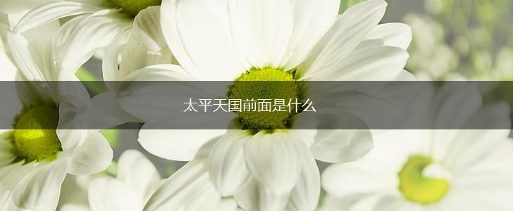 太平天国前面是什么,第1张