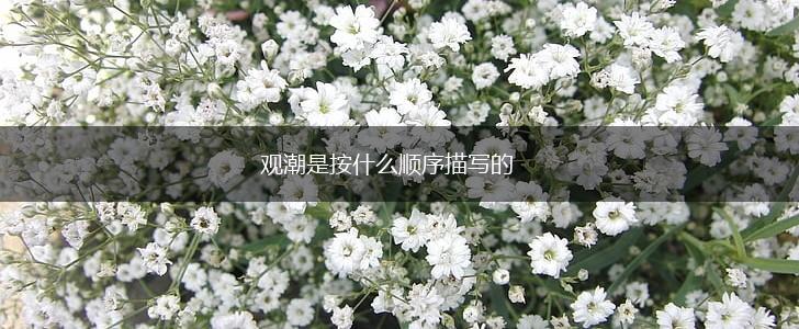 观潮是按什么顺序描写的,第1张