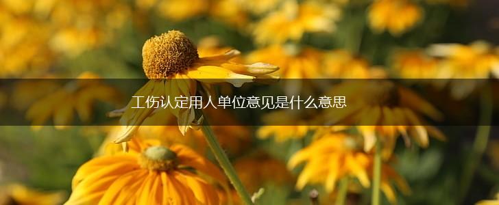 工伤认定用人单位意见是什么意思,第1张