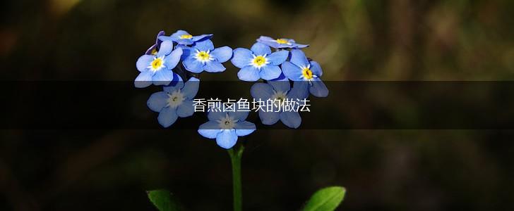 香煎卤鱼块的做法,第1张