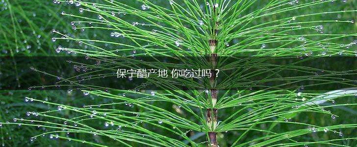 保宁醋产地 你吃过吗？,第1张