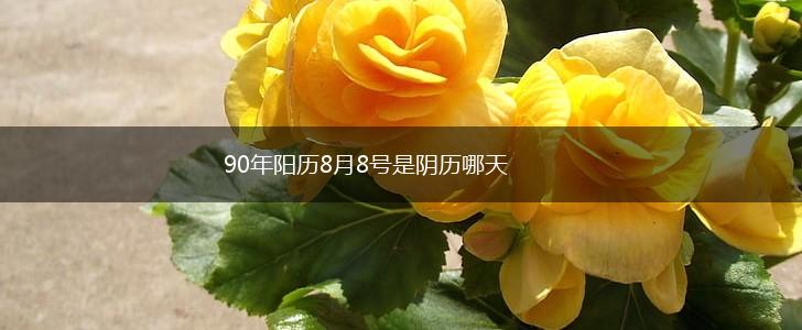 90年阳历8月8号是阴历哪天,第1张