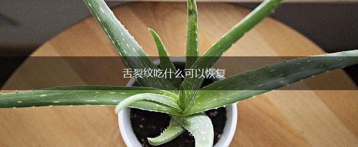 舌裂纹吃什么可以恢复,第1张