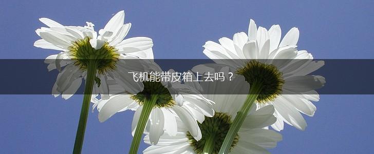 飞机能带皮箱上去吗？,第1张
