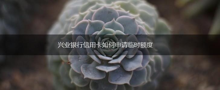 兴业银行信用卡如何申请临时额度,第1张