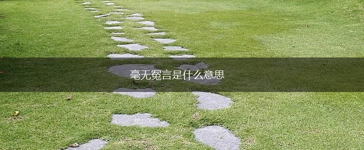 毫无冤言是什么意思,第1张