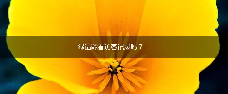 绿钻能看访客记录吗？,第1张