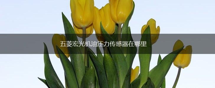 五菱宏光机油压力传感器在哪里,第1张 五菱宏光机油压力传感器在哪里,第1张