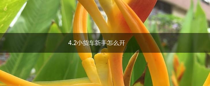4.2小货车新手怎么开,第1张