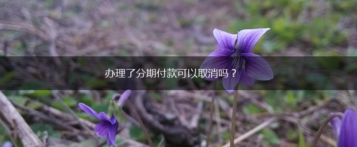 办理了分期付款可以取消吗？,第1张