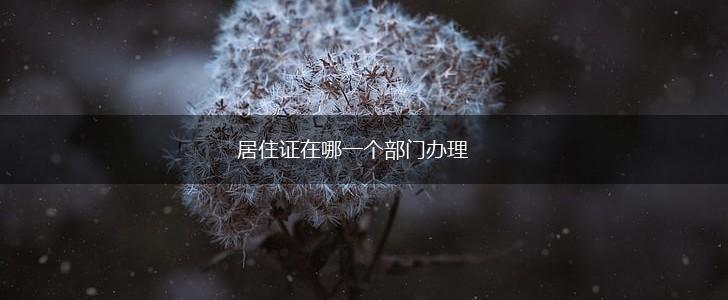居住证在哪一个部门办理,第1张