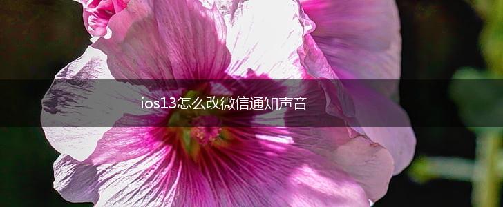 ios13怎么改微信通知声音,第1张