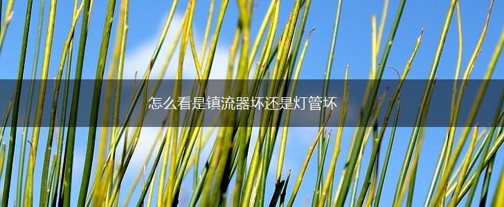 怎么看是镇流器坏还是灯管坏,第1张