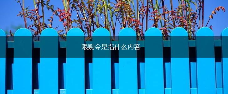 限购令是指什么内容,第1张