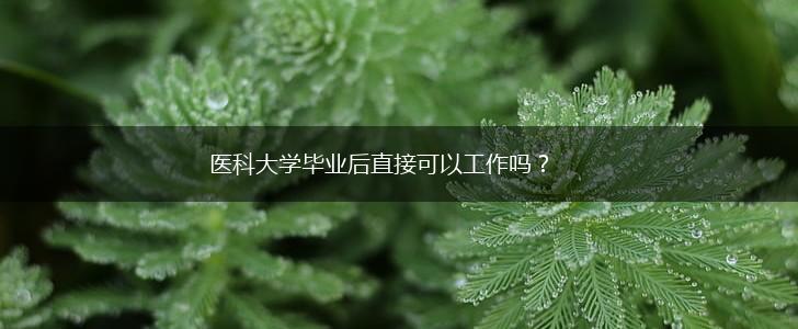 医科大学毕业后直接可以工作吗？,第1张