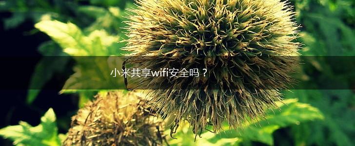 小米共享wifi安全吗？,第1张