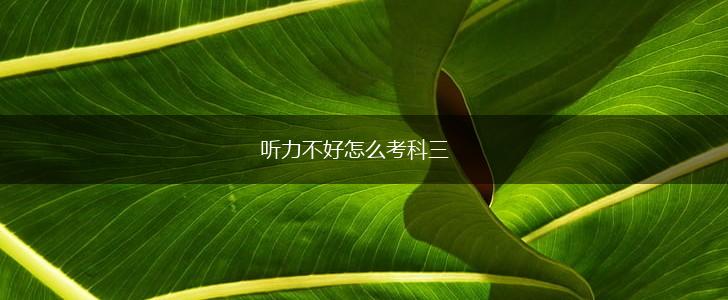 听力不好怎么考科三,第1张