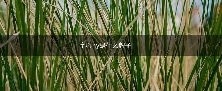 字母ny是什么牌子,第1张