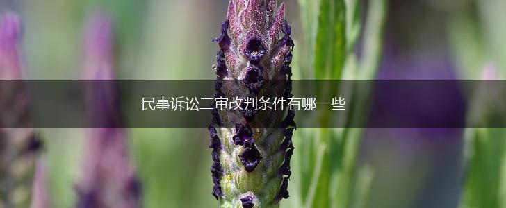 民事诉讼二审改判条件有哪一些,第1张