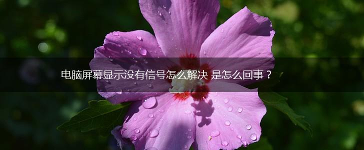 电脑屏幕显示没有信号怎么解决 是怎么回事？,第1张