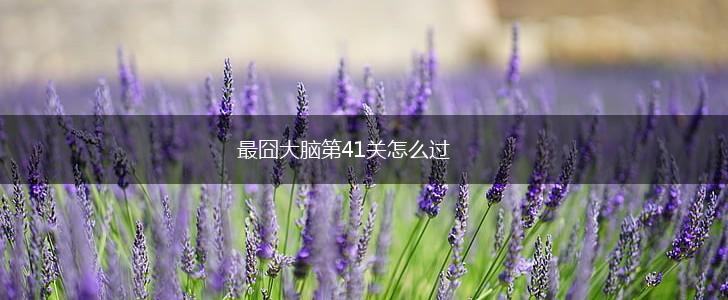 最囧大脑第41关怎么过,第1张