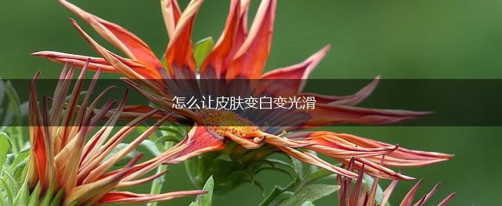 怎么让皮肤变白变光滑,第1张
