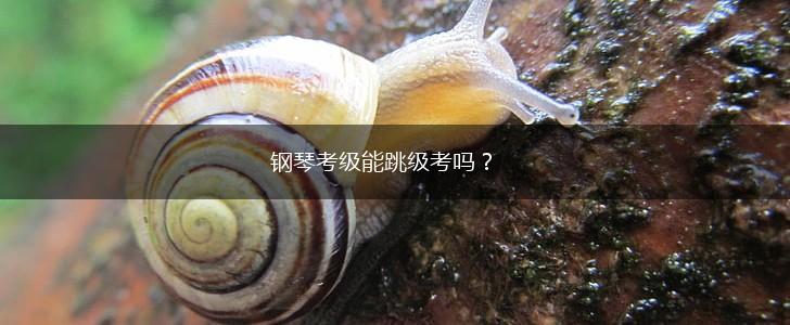钢琴考级能跳级考吗？,第1张