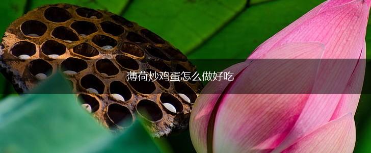 薄荷炒鸡蛋怎么做好吃,第1张