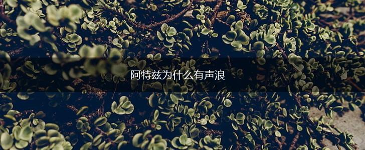 阿特兹为什么有声浪,第1张