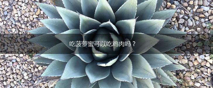 吃菠萝蜜可以吃鸡肉吗？,第1张