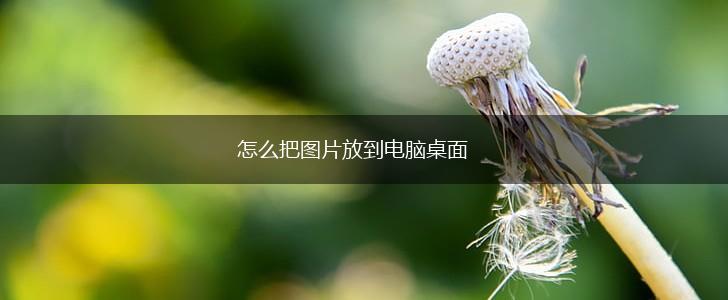 怎么把图片放到电脑桌面,第1张