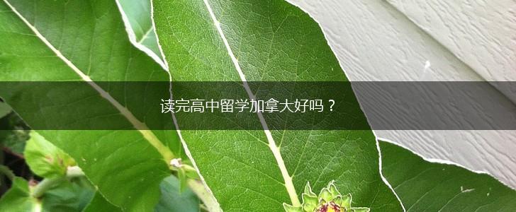 读完高中留学加拿大好吗？,第1张