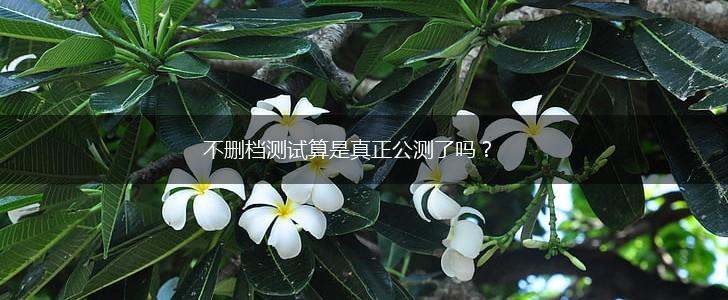 不删档测试算是真正公测了吗?,第1张 不删档测试算是真正公测了吗?,第1张