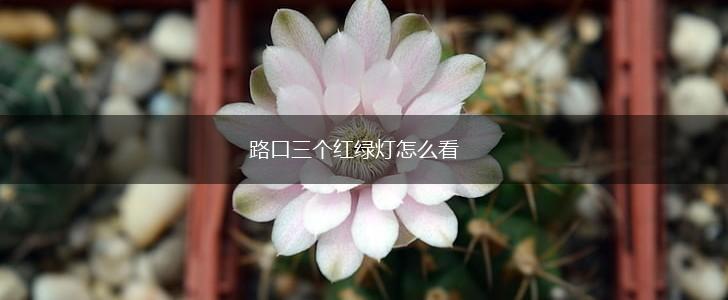路口三个红绿灯怎么看,第1张