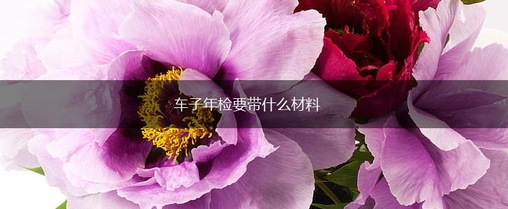 车子年检要带什么材料,第1张