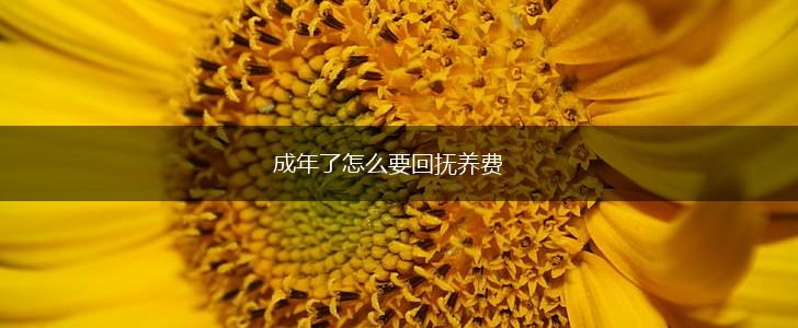 成年了怎么要回抚养费,第1张