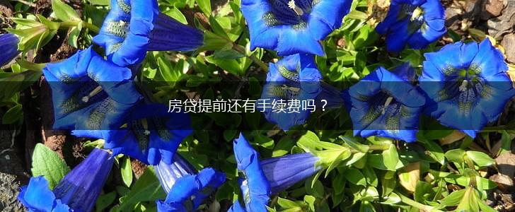 房贷提前还有手续费吗?,第1张 房贷提前还有手续费吗?,第1张