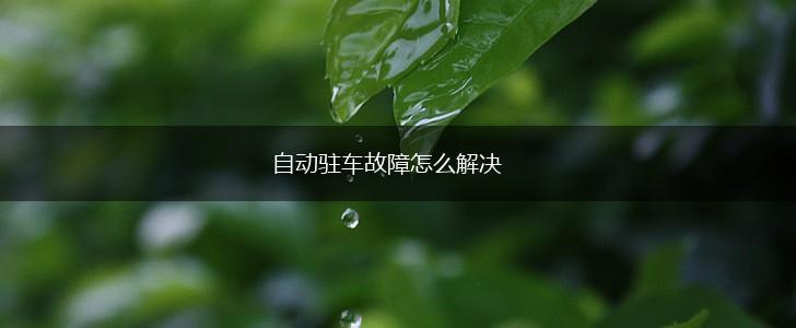 自动驻车故障怎么解决,第1张