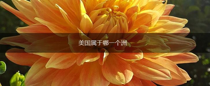 美国属于哪一个洲,第1张