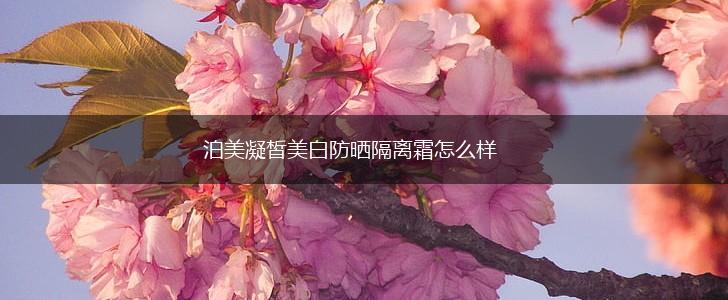 泊美凝皙美白防晒隔离霜怎么样,第1张