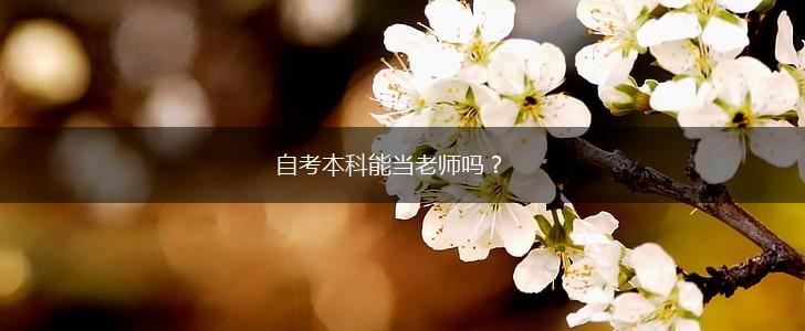 自考本科能当老师吗？,第1张