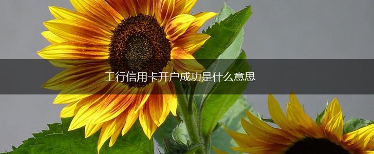 工行信用卡开户成功是什么意思,第1张 工行信用卡开户成功是什么意思,第1张