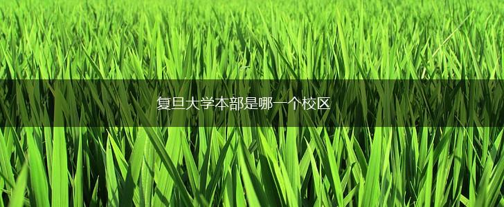 复旦大学本部是哪一个校区,第1张