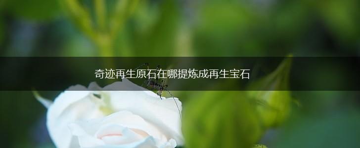 奇迹再生原石在哪提炼成再生宝石,第1张