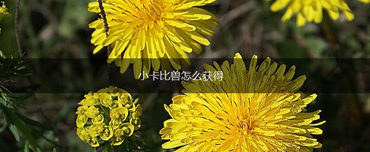 小卡比兽怎么获得,第1张